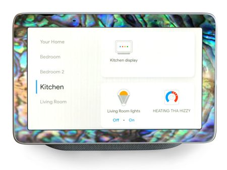 Abalone Swirl Shell Design Blue Google Home Hub Skin Discount