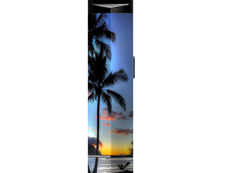 Paradise Sunset Palm Trees Suorin Edge Pod System Skin Fashion